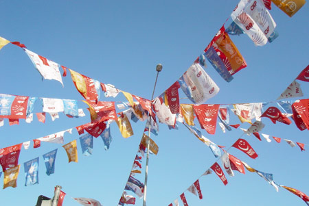 siyasi parti bayragı