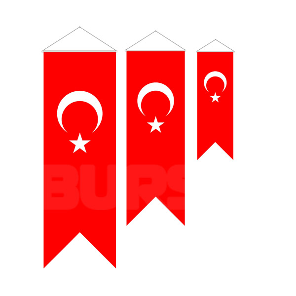 kırlangıc Türk bayraklar 